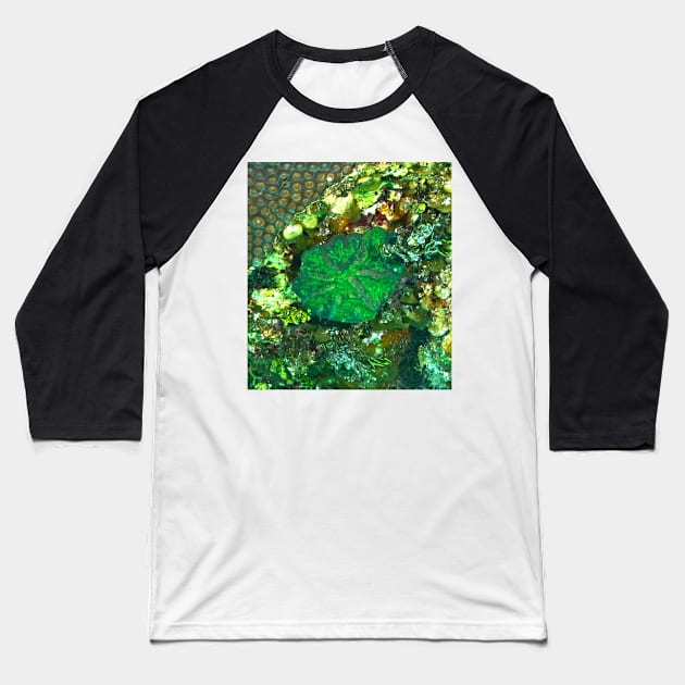 Green Artichoke Coral Anemone Baseball T-Shirt by Scubagirlamy